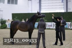 25R13_00933 thumbnail