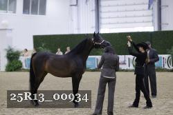 25R13_00934 thumbnail