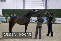 25R13_00935 thumbnail
