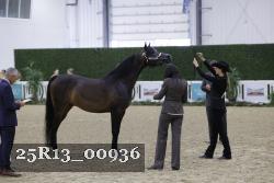25R13_00936 thumbnail