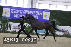 25R13_00937 thumbnail