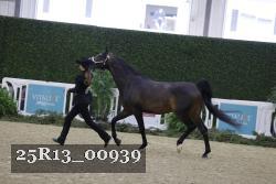 25R13_00939 thumbnail