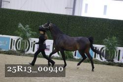 25R13_00940 thumbnail