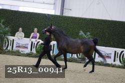 25R13_00941 thumbnail
