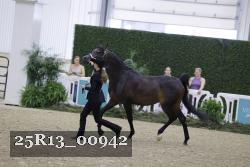 25R13_00942 thumbnail