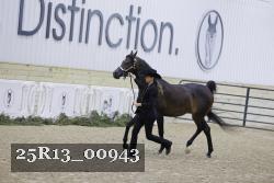 25R13_00943 thumbnail
