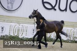 25R13_00945 thumbnail