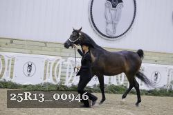 25R13_00946 thumbnail