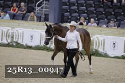 25R13_00947 thumbnail