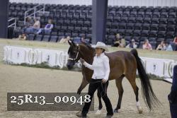 25R13_00948 thumbnail