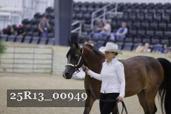 25R13_00949 thumbnail