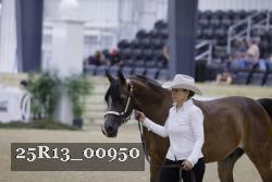 25R13_00950 thumbnail