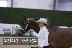 25R13_00952 thumbnail