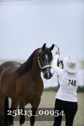 25R13_00954 thumbnail