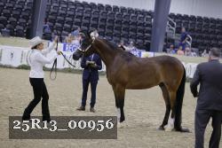 25R13_00956 thumbnail