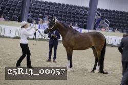 25R13_00957 thumbnail