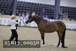 25R13_00958 thumbnail