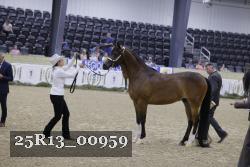 25R13_00959 thumbnail
