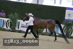 25R13_00960 thumbnail