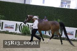 25R13_00961 thumbnail
