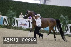 25R13_00962 thumbnail