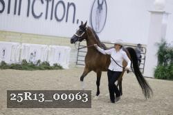 25R13_00963 thumbnail