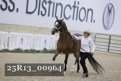 25R13_00964 thumbnail