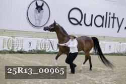 25R13_00965 thumbnail