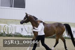 25R13_00966 thumbnail