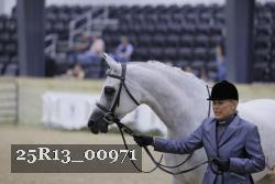 25R13_00971 thumbnail
