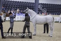 25R13_00972 thumbnail
