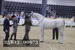 25R13_00973 thumbnail