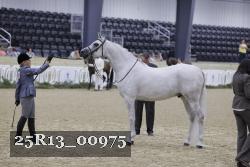 25R13_00975 thumbnail