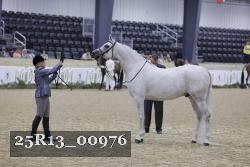 25R13_00976 thumbnail