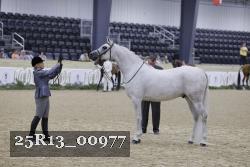 25R13_00977 thumbnail