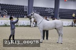 25R13_00978 thumbnail
