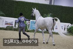 25R13_00979 thumbnail