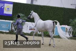 25R13_00980 thumbnail