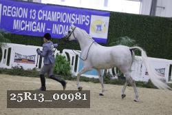 25R13_00981 thumbnail