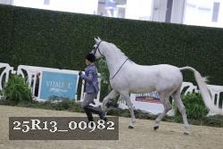 25R13_00982 thumbnail