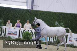 25R13_00983 thumbnail