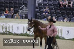 25R13_00984 thumbnail