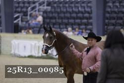 25R13_00985 thumbnail