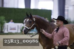 25R13_00986 thumbnail