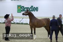 25R13_00987 thumbnail