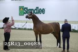 25R13_00988 thumbnail