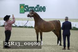 25R13_00989 thumbnail