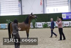 25R13_00990 thumbnail