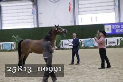 25R13_00991 thumbnail