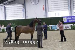 25R13_00992 thumbnail